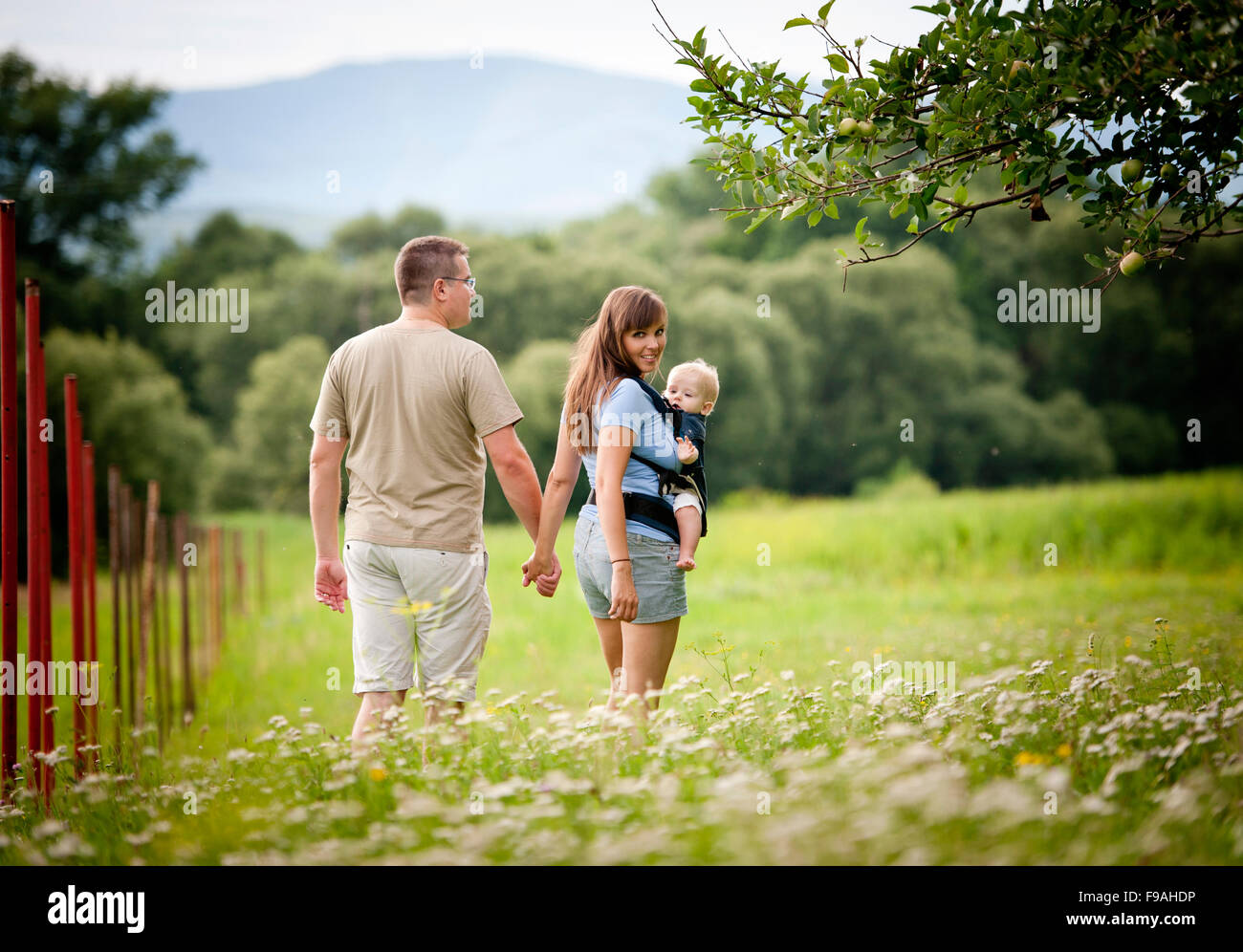 Family walking in the field with baby in the baby carrier Stock Photo