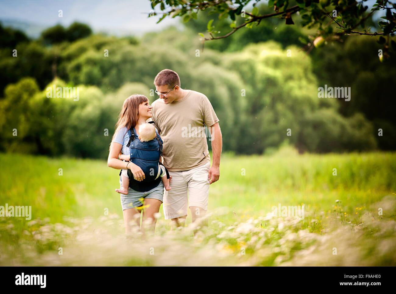 Family walking in the field with baby in the baby carrier Stock Photo