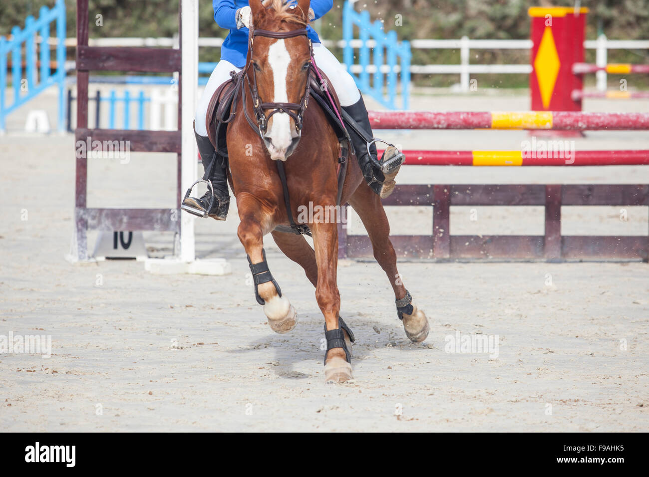 Horse trotting after overtake the obstacle at horse jumping competition Stock Photo