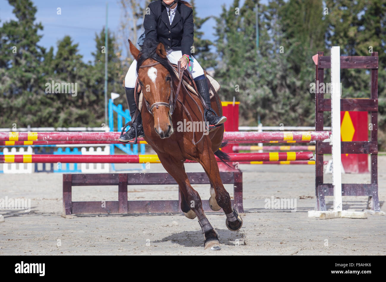 Horse trotting after overtake the obstacle at horse jumping competition Stock Photo