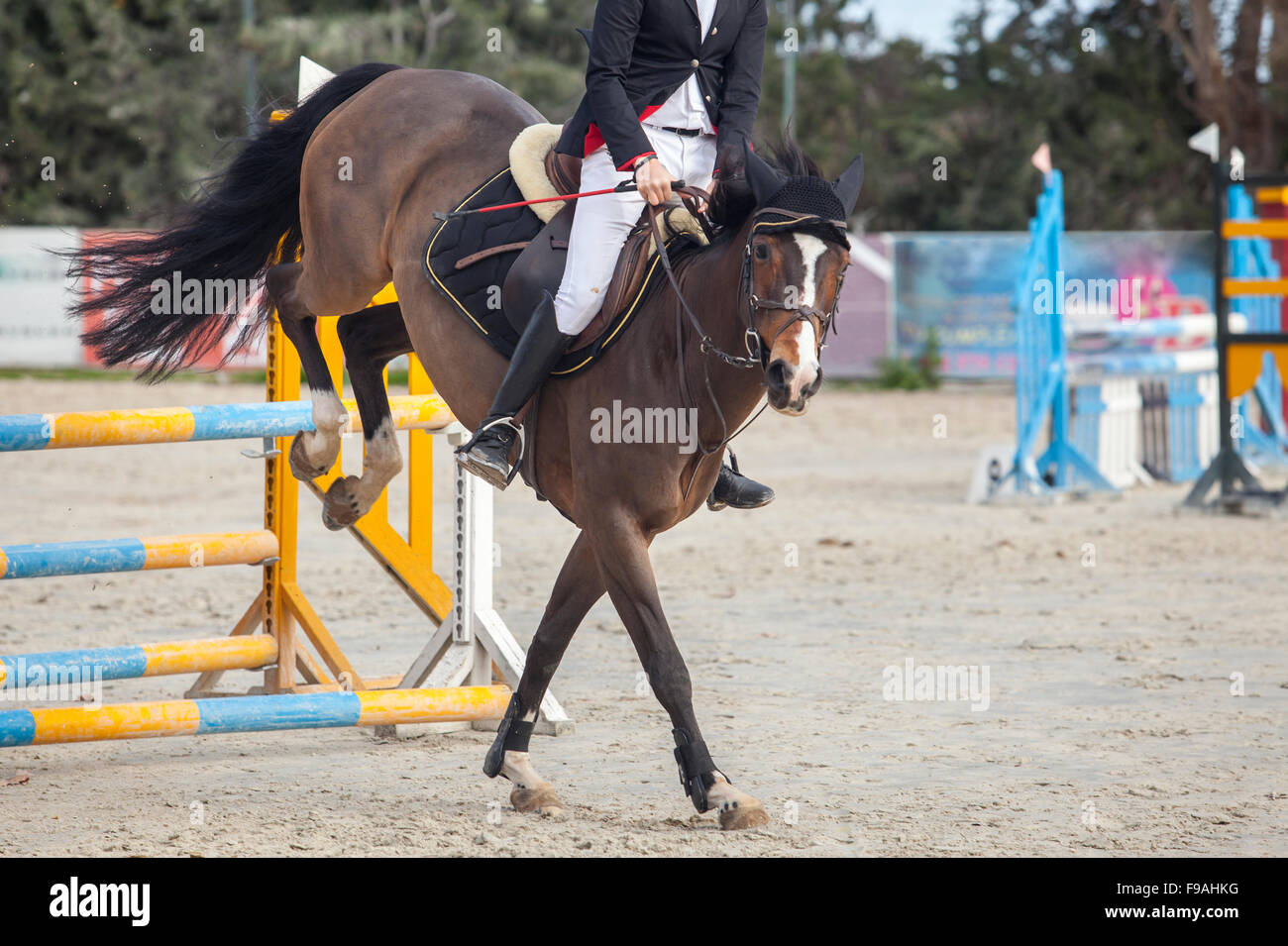 Horse landing after overtake the obstacle at horse jumping competition Stock Photo