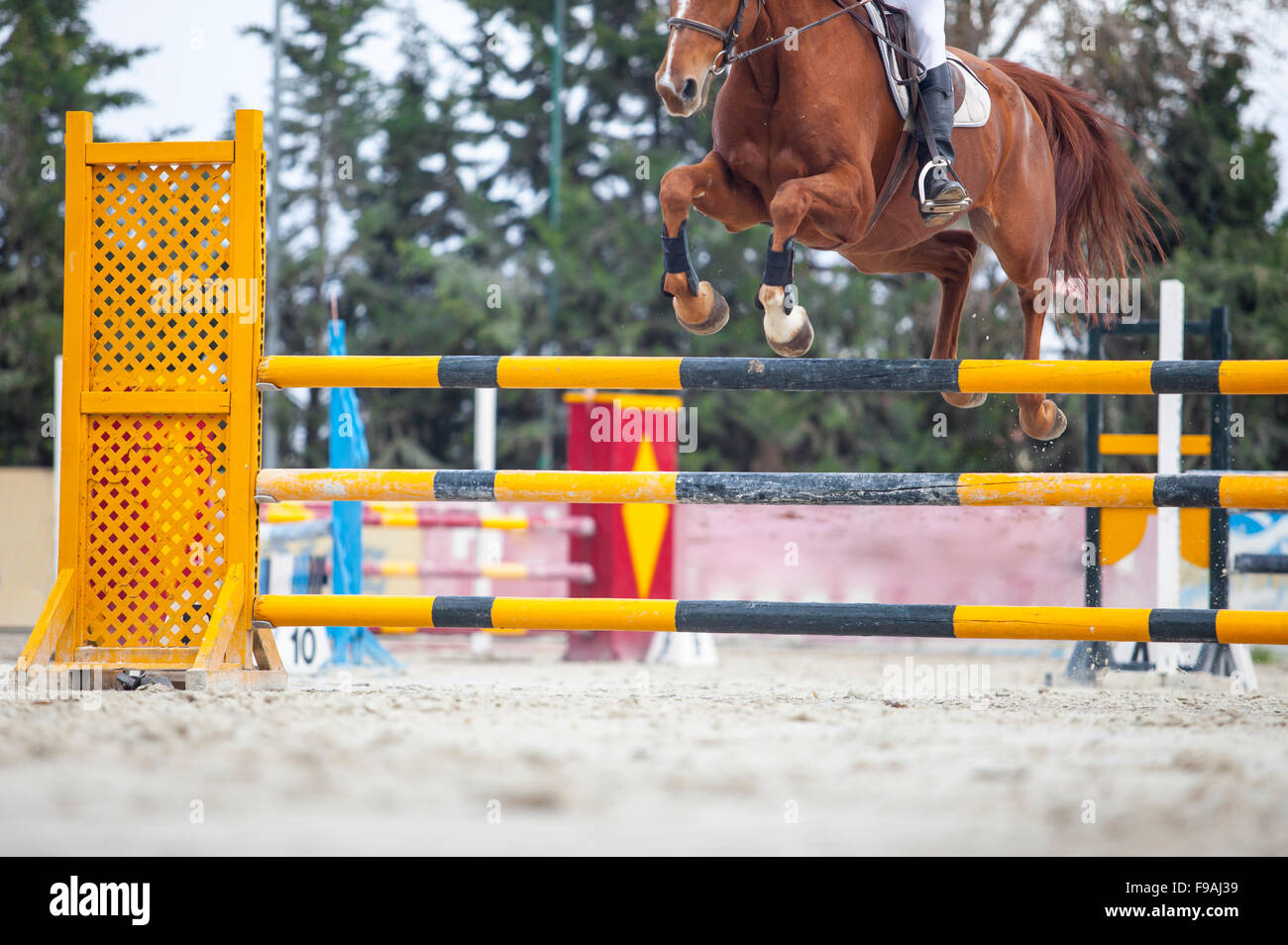 Rider jumping with horse over obstacle at competition outdoors Stock ...