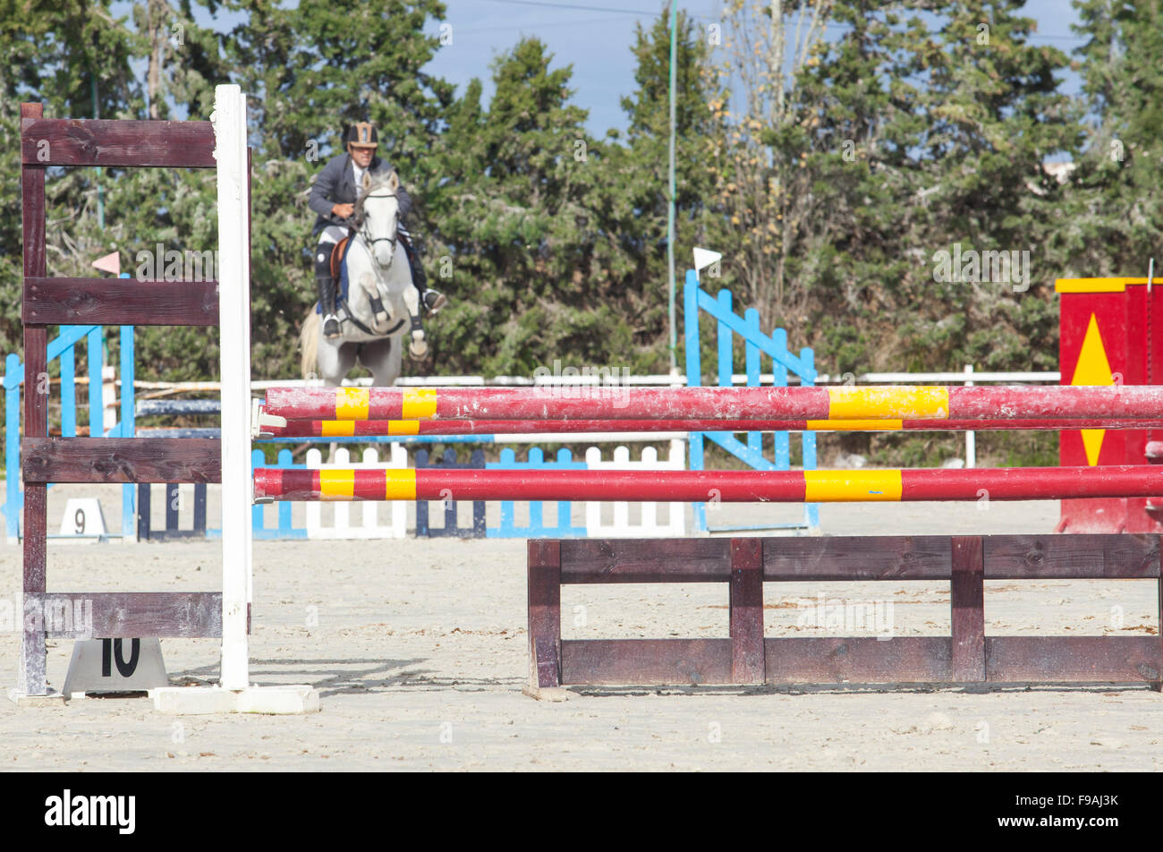 BADAJOZ, SPAIN - Nov 22: Horse starting to jump several obstacles close by at Poni Club Local Cup Qualifying competition on Nove Stock Photo