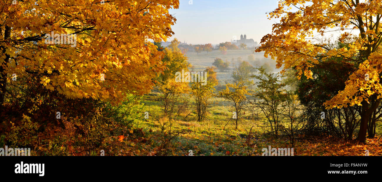 Autumn landscape in Quedlinburg, castle hill with collegiate church of St. Servatius behind, UNESCO, Quedlinburg, Saxony-Anhalt Stock Photo