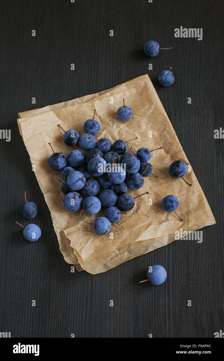 Wild berry thorn on a parchment and dark wooden background Stock Photo