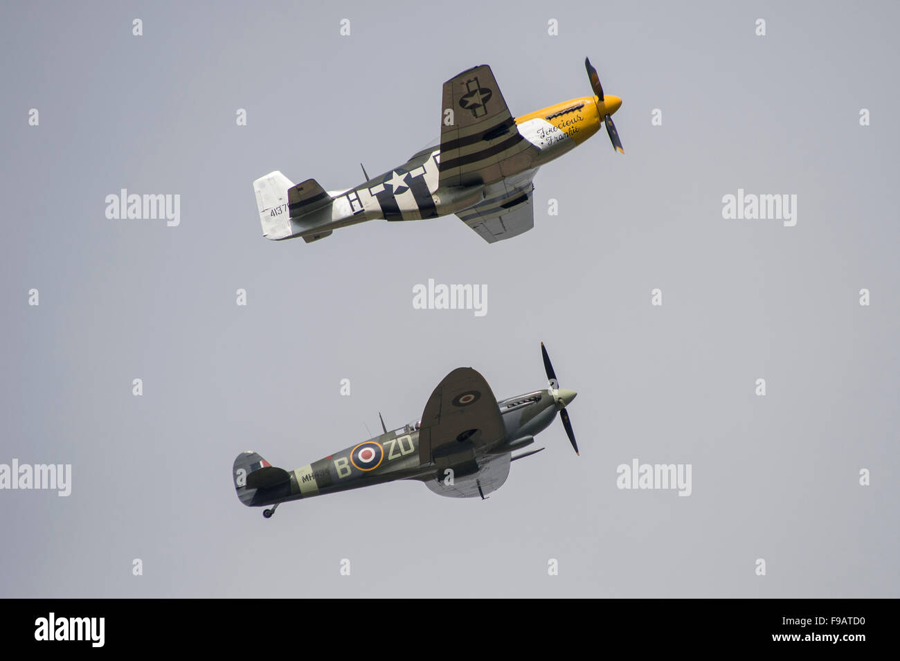 A spitfire and a mustang world war 2 planes in close formation flying at an air show Stock Photo