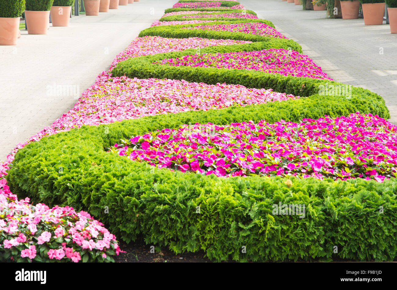 Flowerbed with a pattern forming a sinuous line. Stock Photo