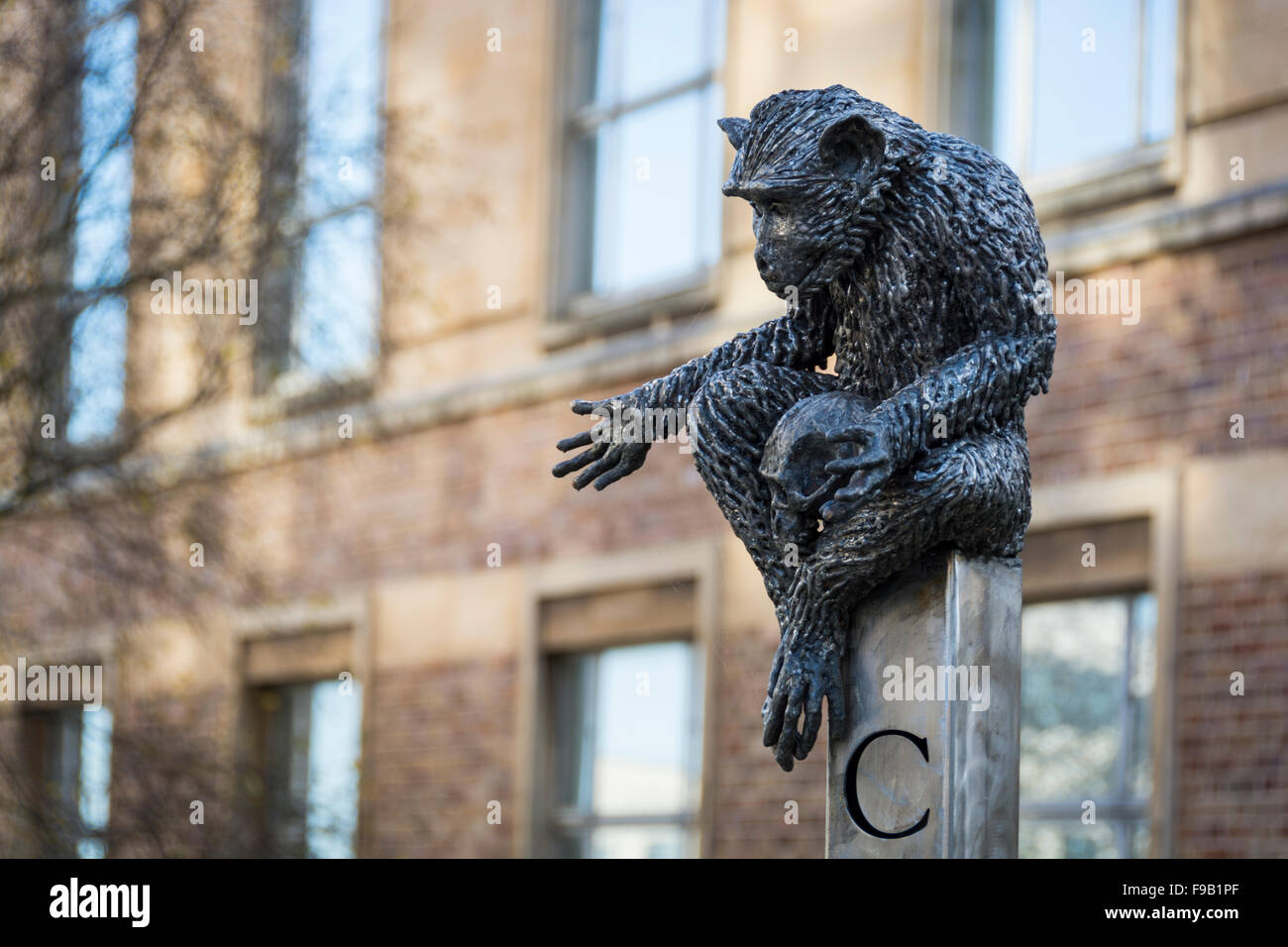 Monkey with skull statue at the top of Cantock Steps at the University