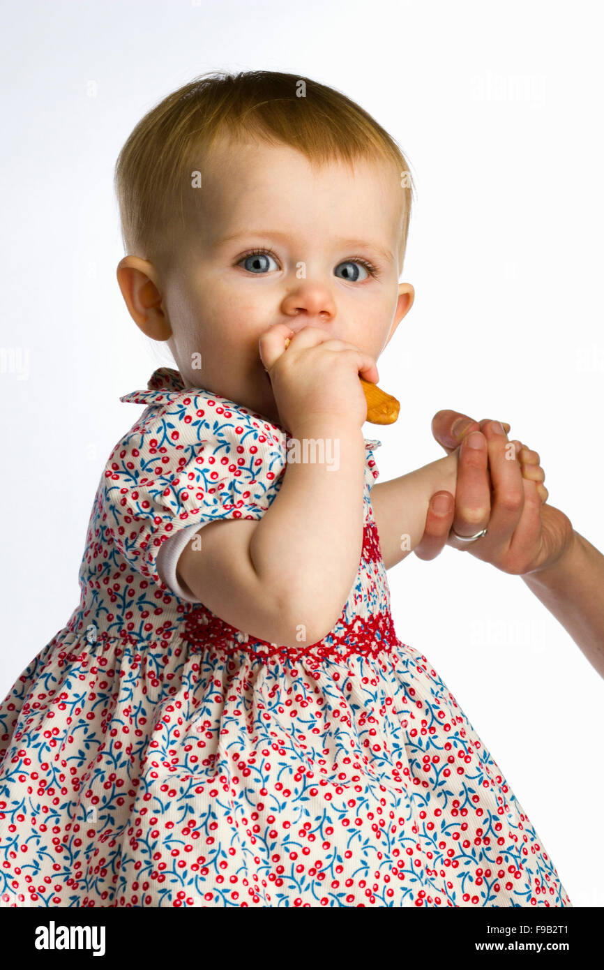 Studio portrait of cute baby girl eating a biscuit Stock Photo
