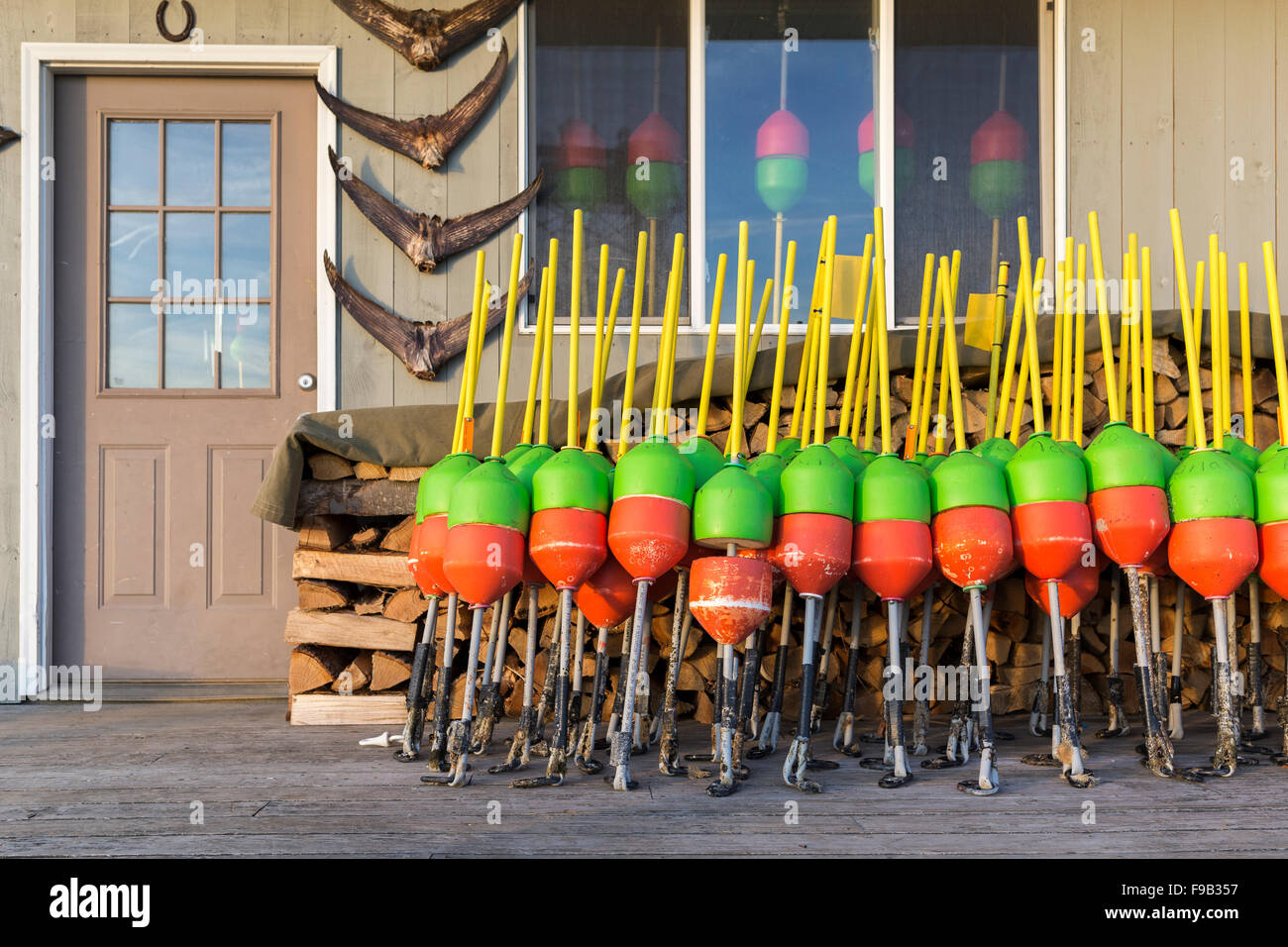 Freshly painted lobster buoys outside a fishing shack on the shore of