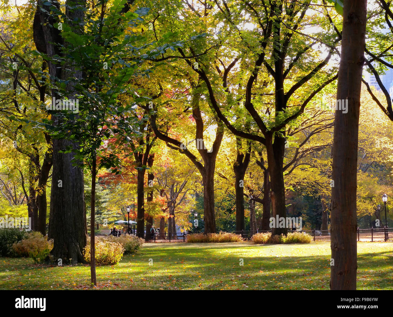 Fall at Central Park New York Stock Photo Alamy