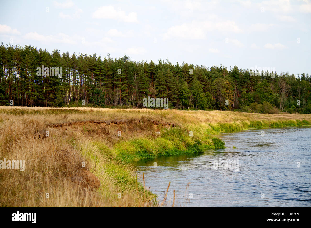 view of the beautiful river and forest Stock Photo - Alamy