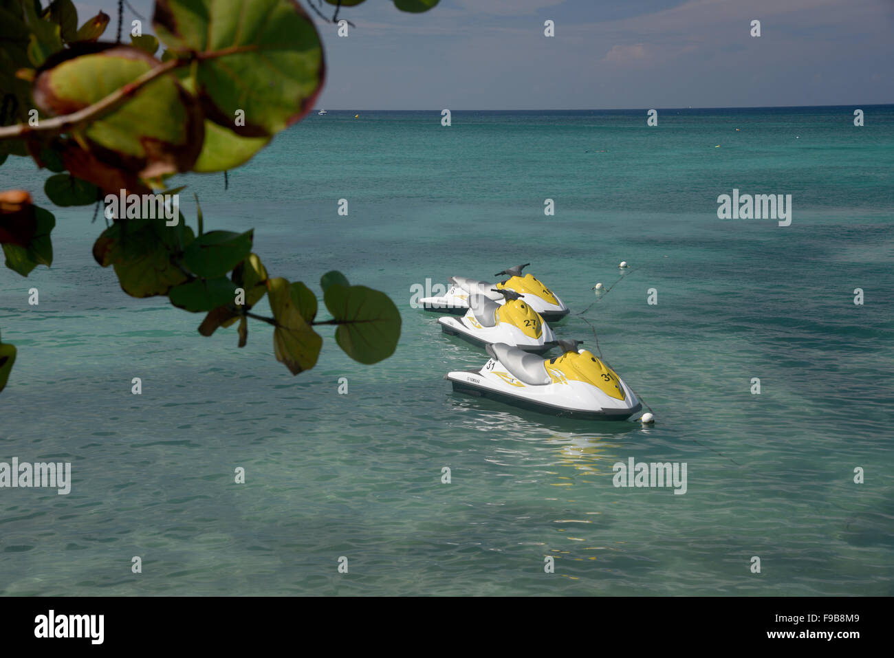 Grand Cayman in the Caribbean Stock Photo - Alamy
