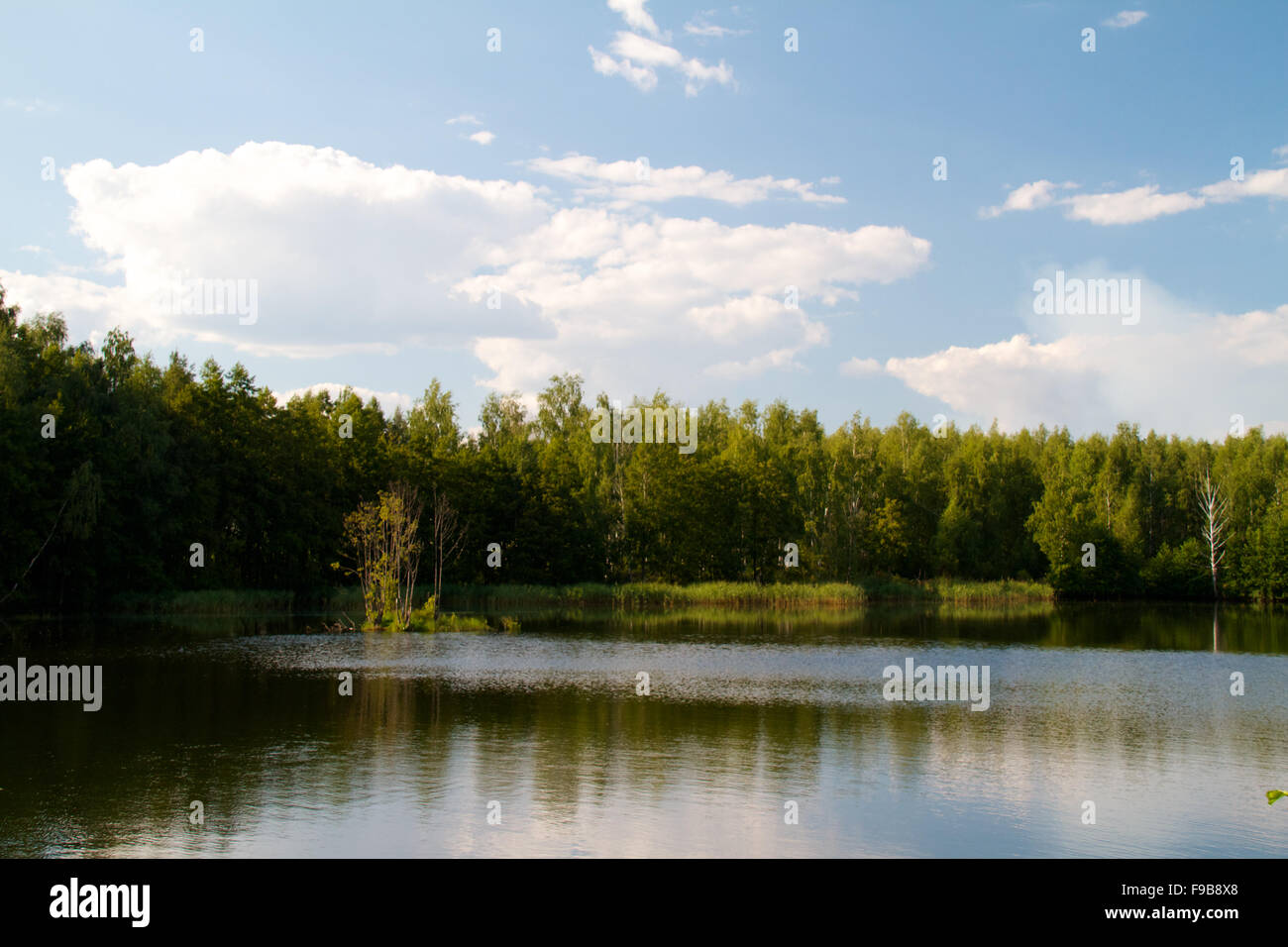 view of the beautiful river and forest Stock Photo - Alamy
