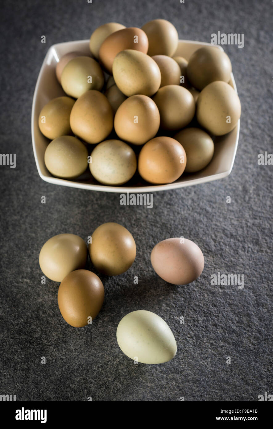 Pheasant eggs, still life Stock Photo Alamy