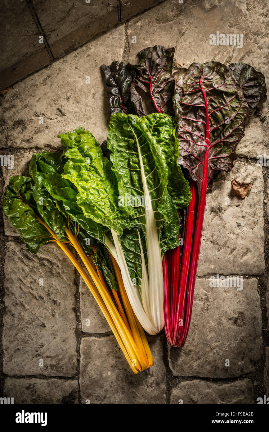 Mixed chard, still life. Stock Photo