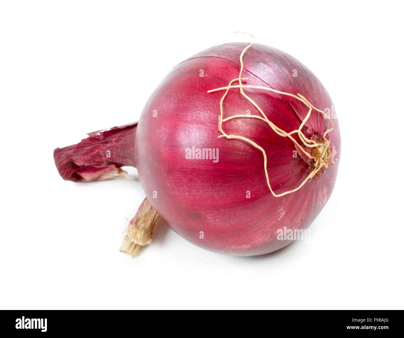 onion on a white background Stock Photo - Alamy