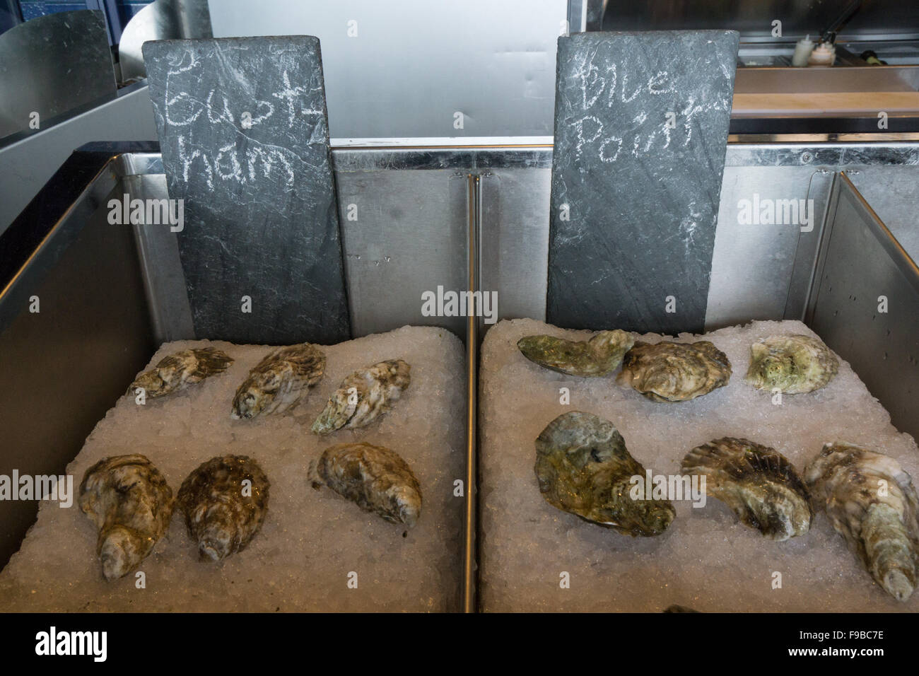 oysters in NYC bar Stock Photo