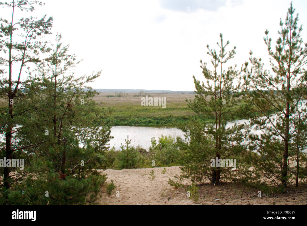view of the beautiful river and forest Stock Photo - Alamy