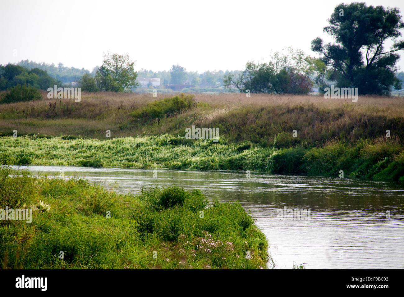 view of the beautiful river and forest Stock Photo - Alamy