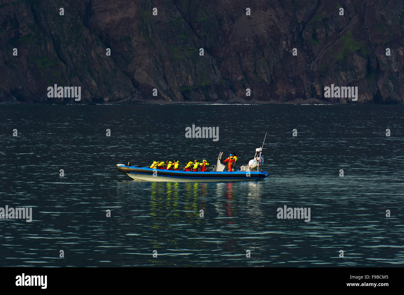 Whale watching tour from fast zodiac boat near Husavik Stock Photo - Alamy