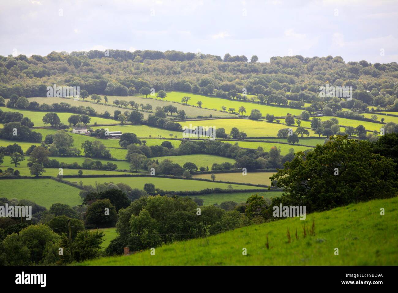 The Culm Valley, Blackdown Hills, Near Culmstock, Devon Stock Photo