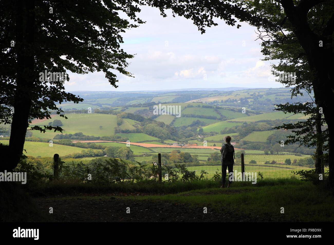 Looking north to the hills between Bampton and Shillingford, Devon. The photo was taken near
