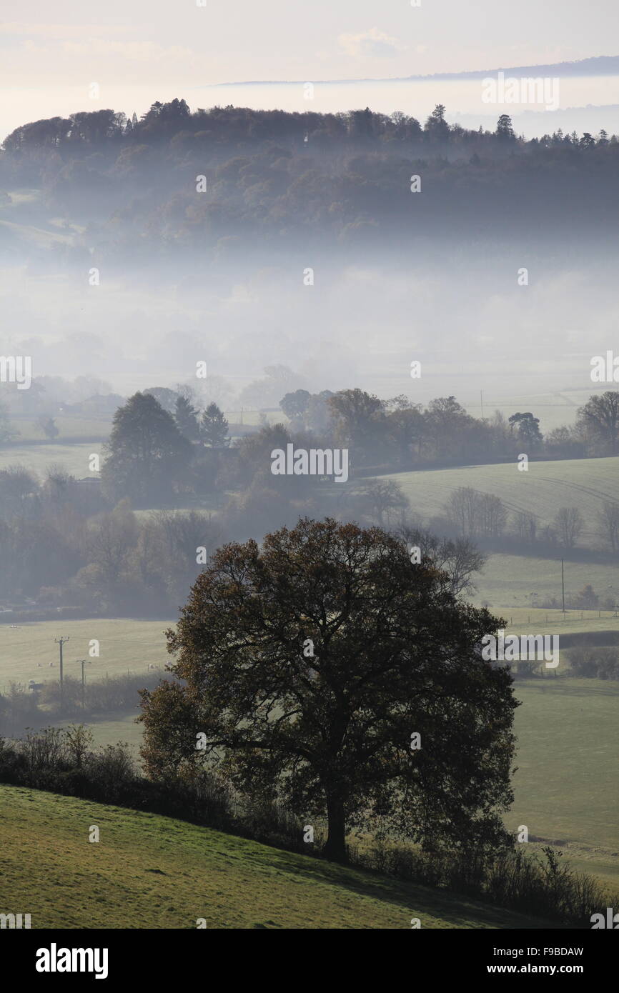 Misty morning in the Culm Valley, Devon Stock Photo