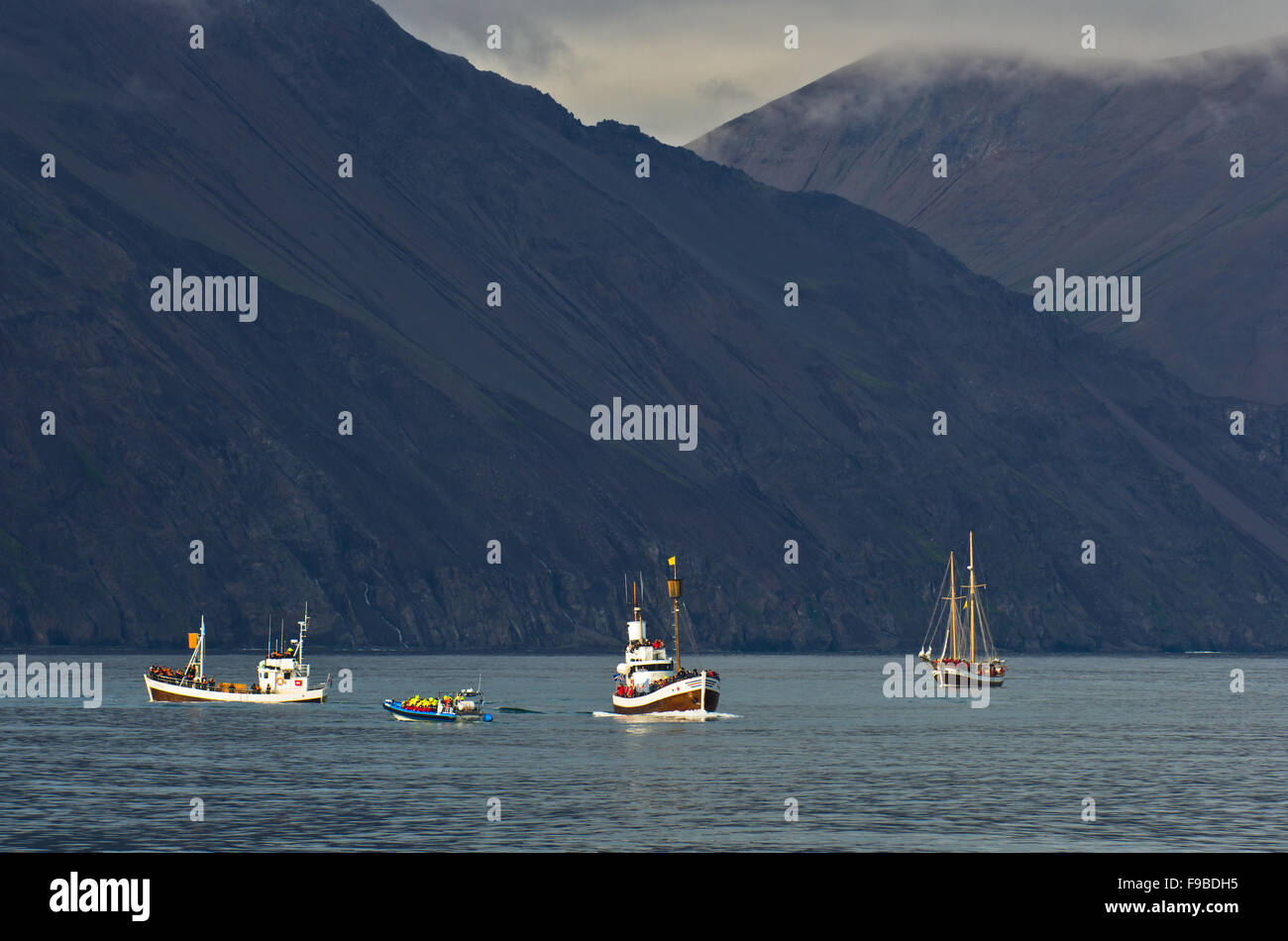 Whale watching tours at Husavik bay area Stock Photo - Alamy