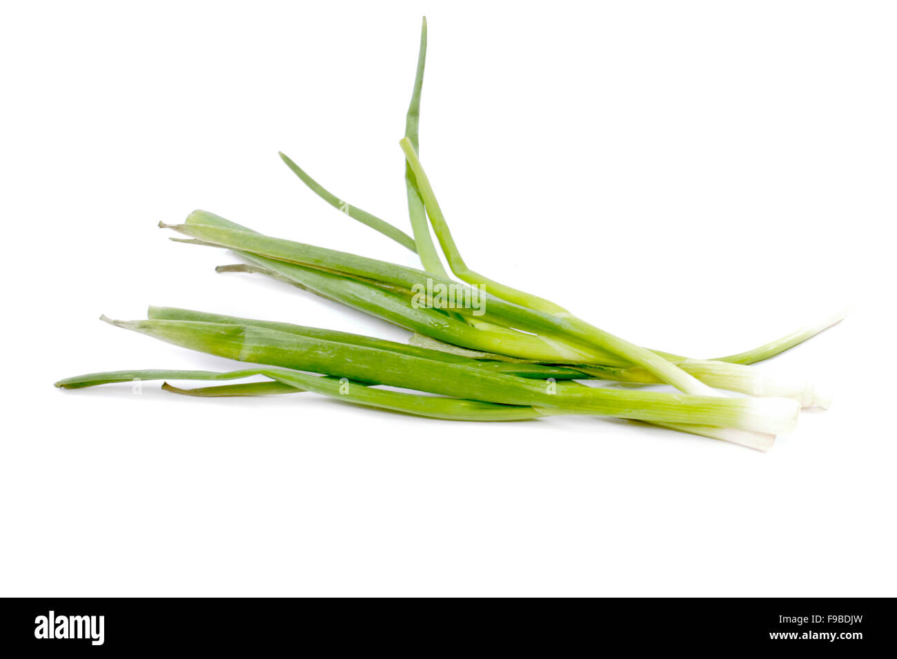 Green Onion on white background Stock Photo - Alamy