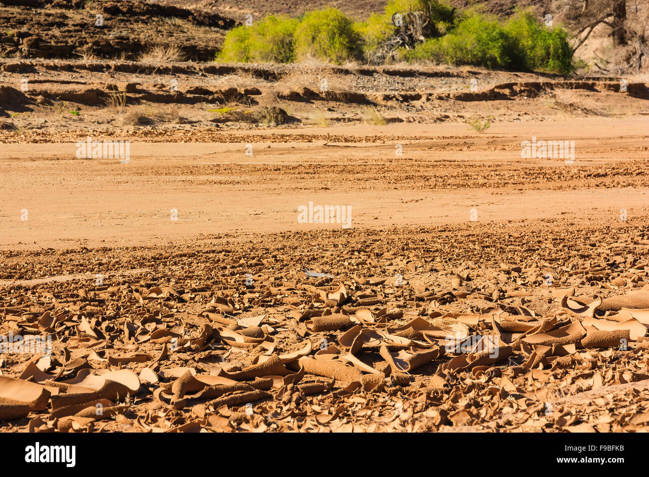 Dry riverbed with cracked surface of brown mud. Namibia, Damaraland, Africa. Stock Photo