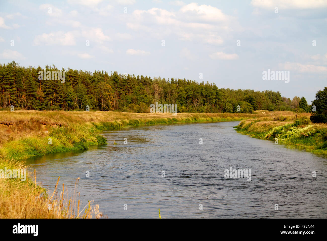 view of the beautiful river and forest Stock Photo - Alamy