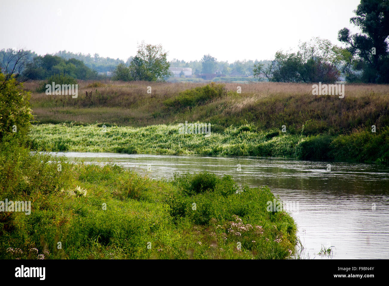 view of the beautiful river and forest Stock Photo - Alamy
