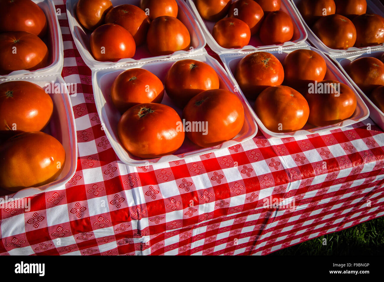 Annual Washington Boro tomato festival in Lancaster county, PA Stock