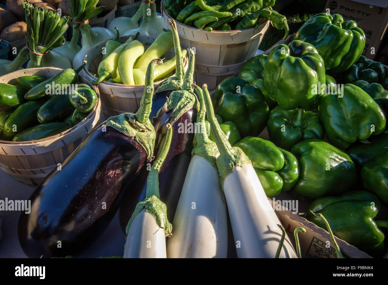 Annual Washington Boro tomato festival in Lancaster county, PA Stock