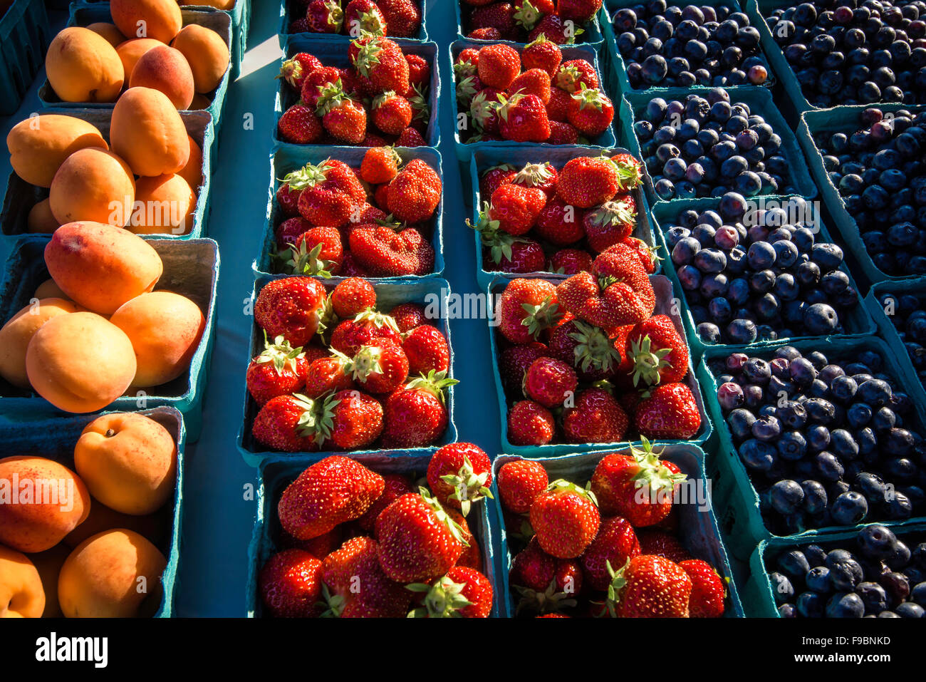 Annual Washington Boro tomato festival in Lancaster county, PA Stock