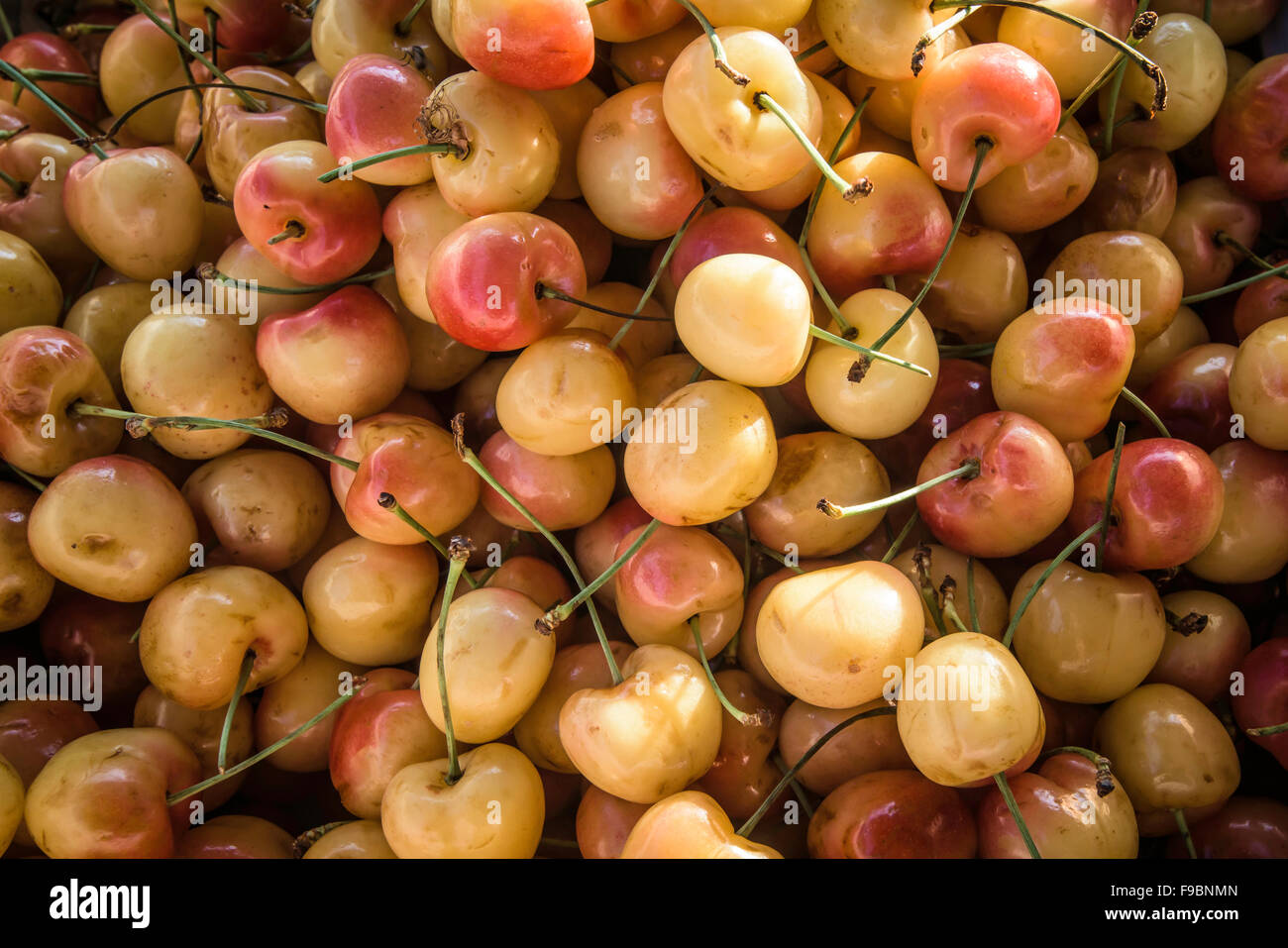 Washington boro pa tomato festival hires stock photography and images