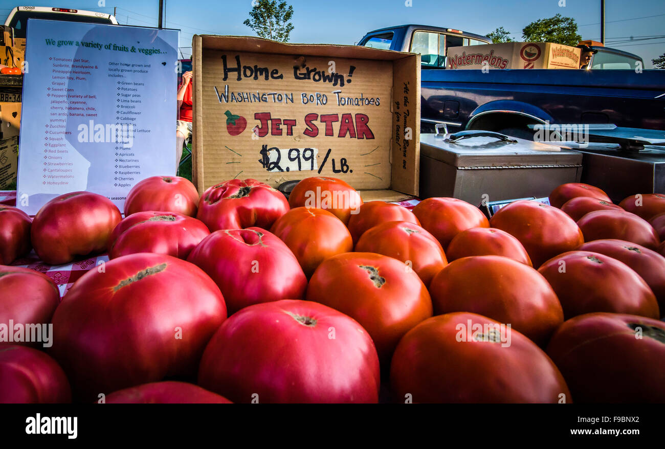Annual Washington Boro tomato festival in Lancaster county, PA Stock