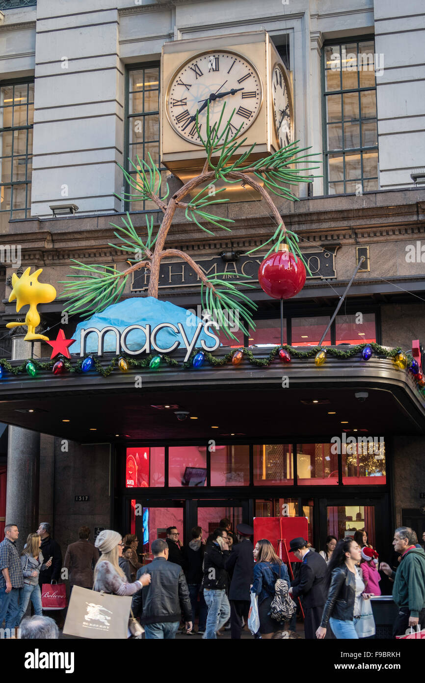 Holiday Decorations, Christmas Trees, Macy's Department Store, Herald