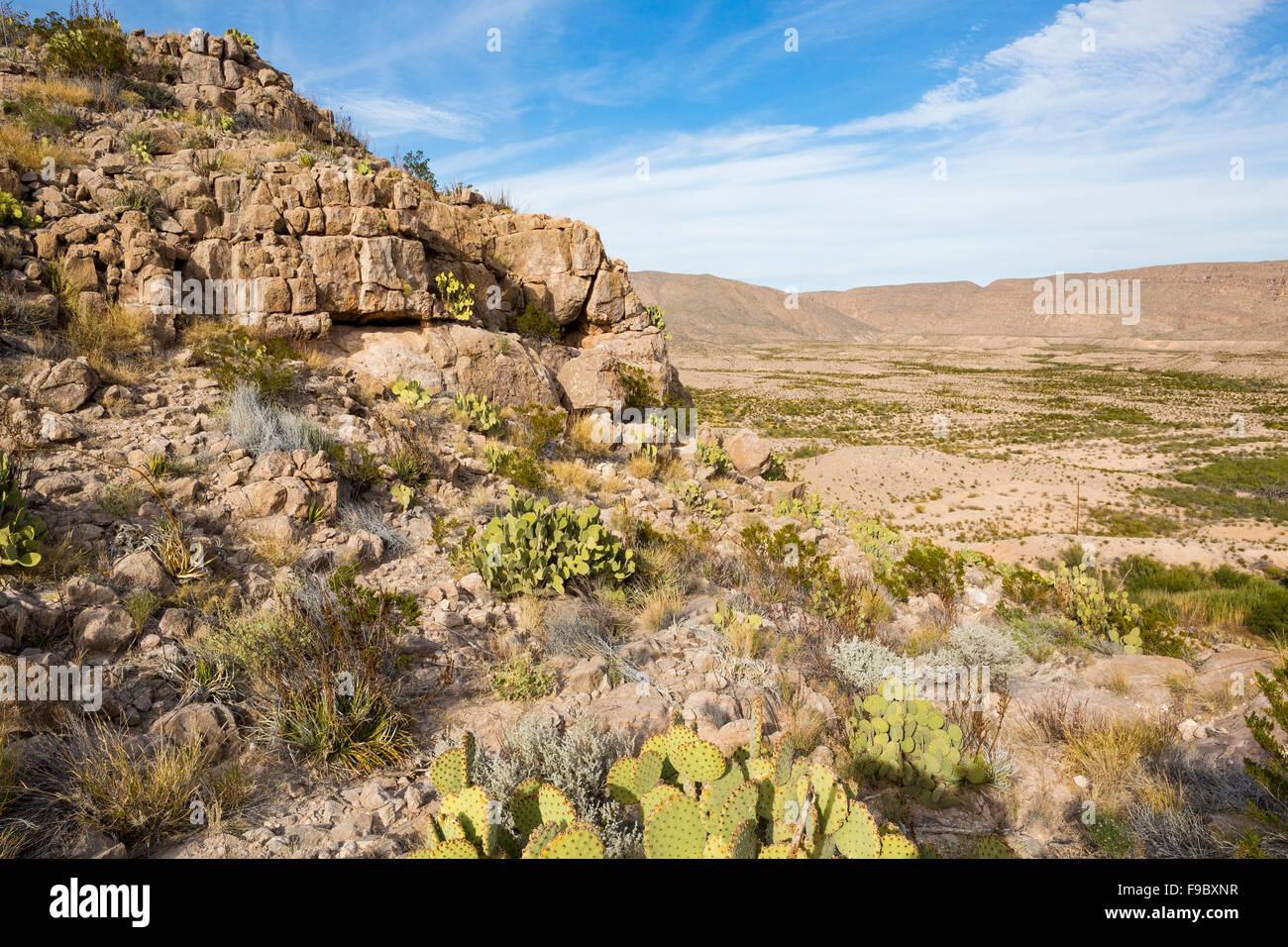 The Hot Springs Trail at Rio Grande Village, Big Bend National Park, Texas Stock Photo