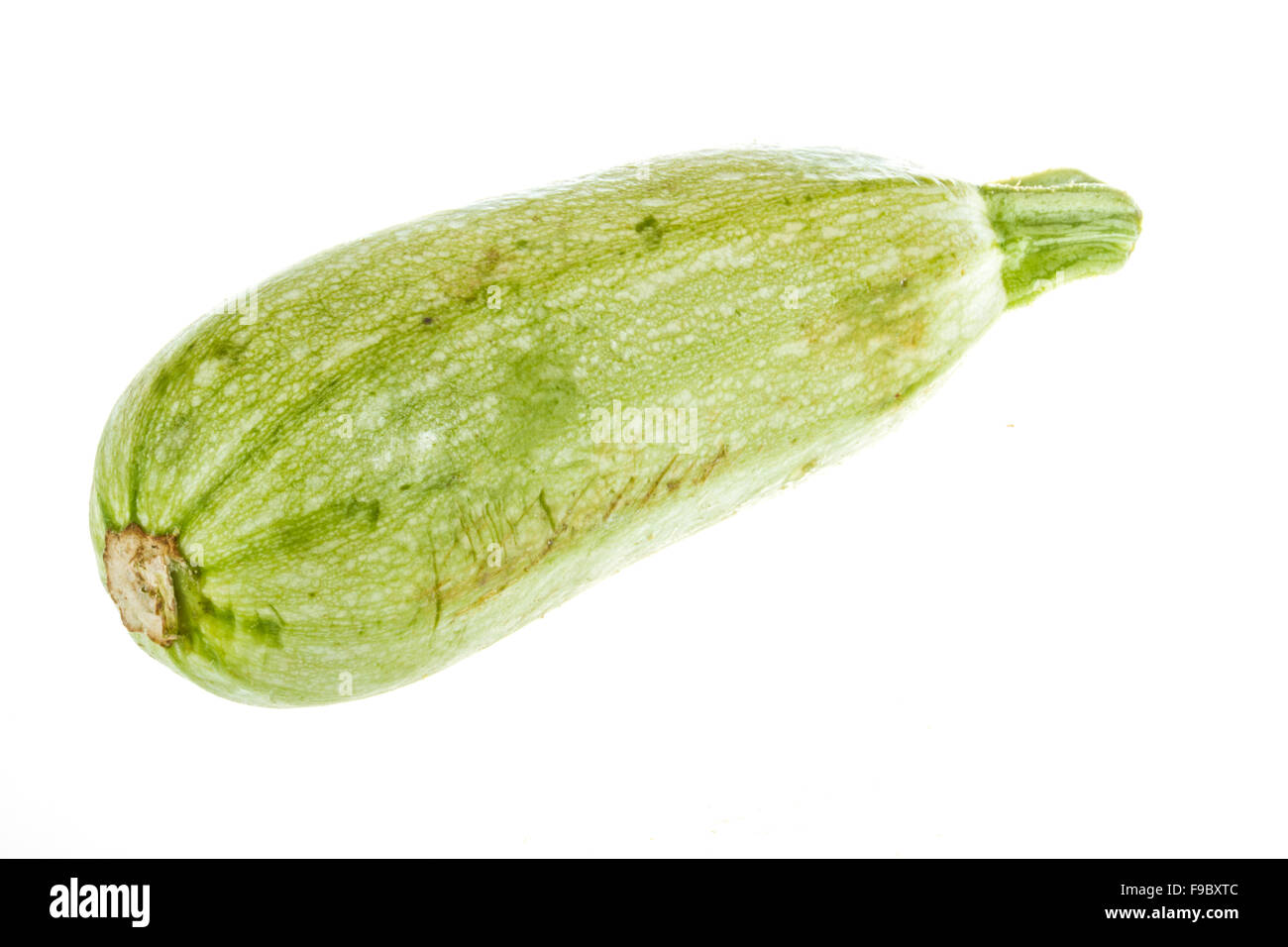 Single Courgette Single Courgette or zucchini from low perspective isolated on white ...