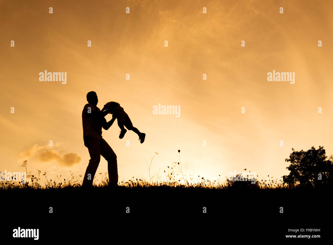 Silhouette of happy father having fun with his son Stock Photo