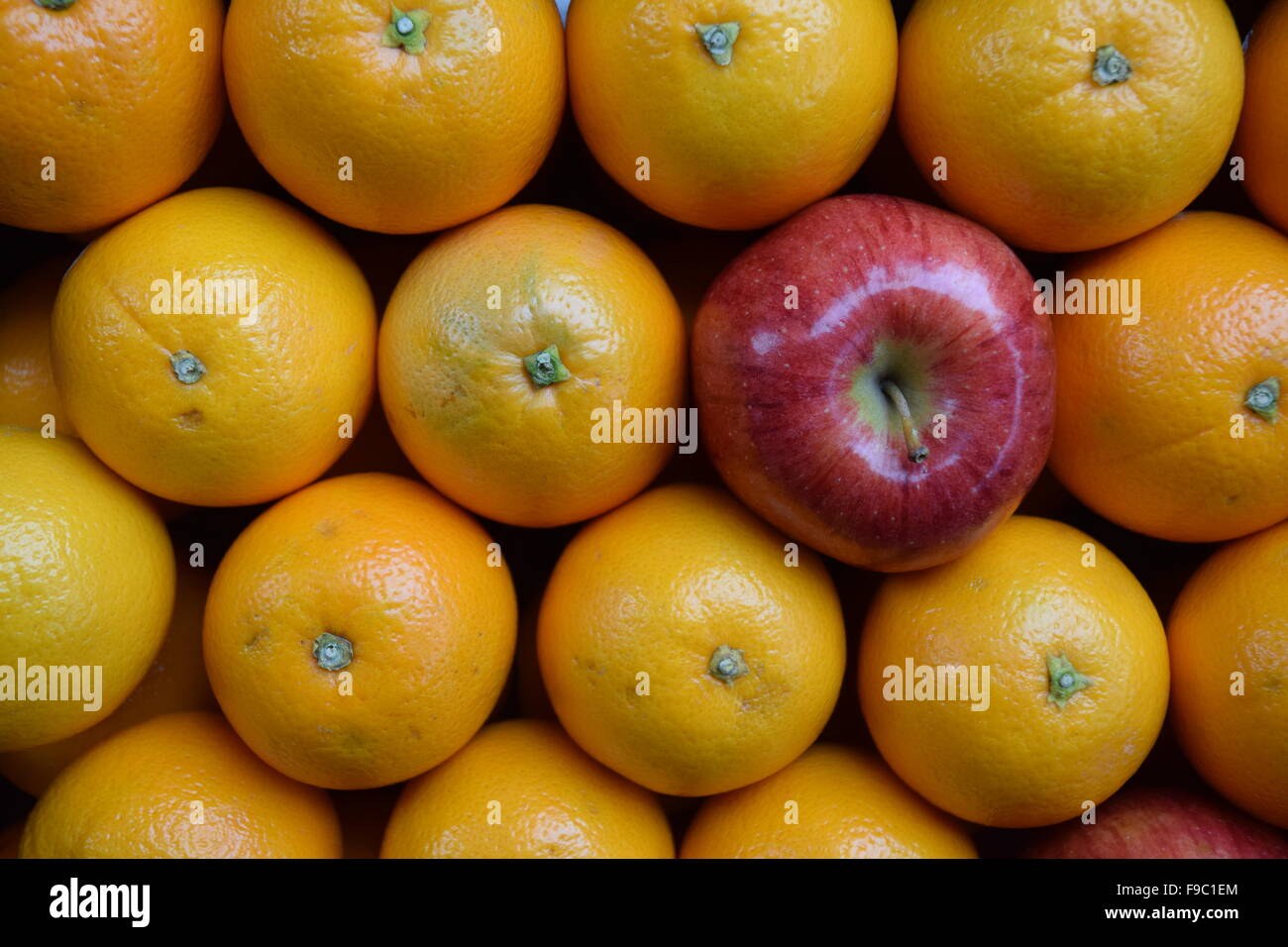 Apples versus oranges. Stock Photo