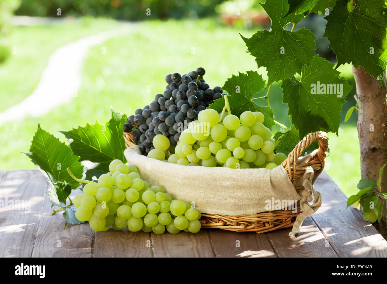 Red and white grapes in basket on garden table Stock Photo - Alamy
