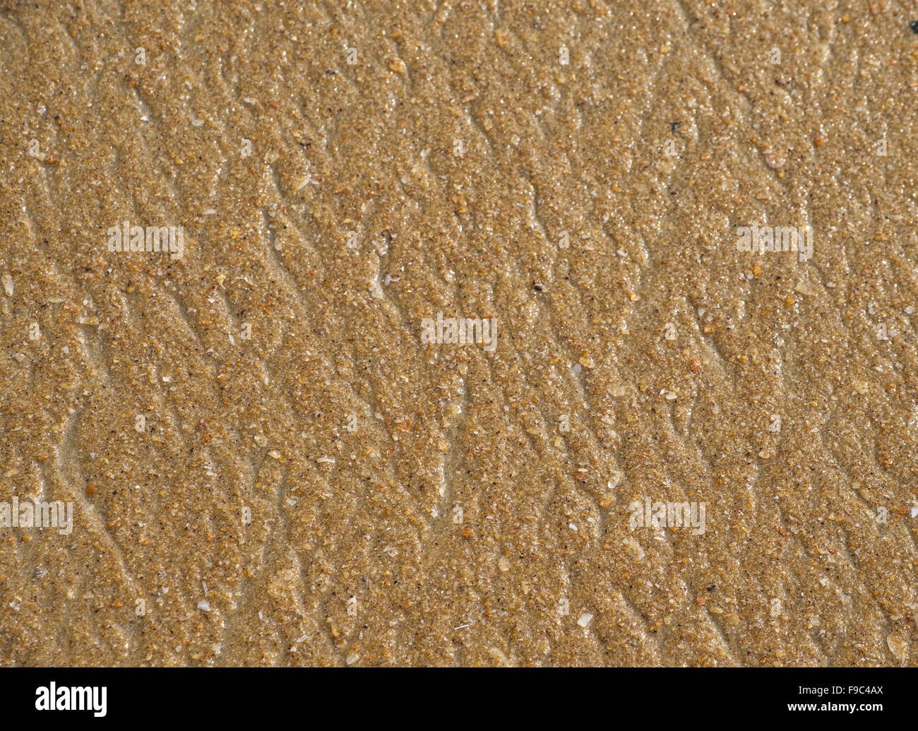Brown Sand marble Short Set