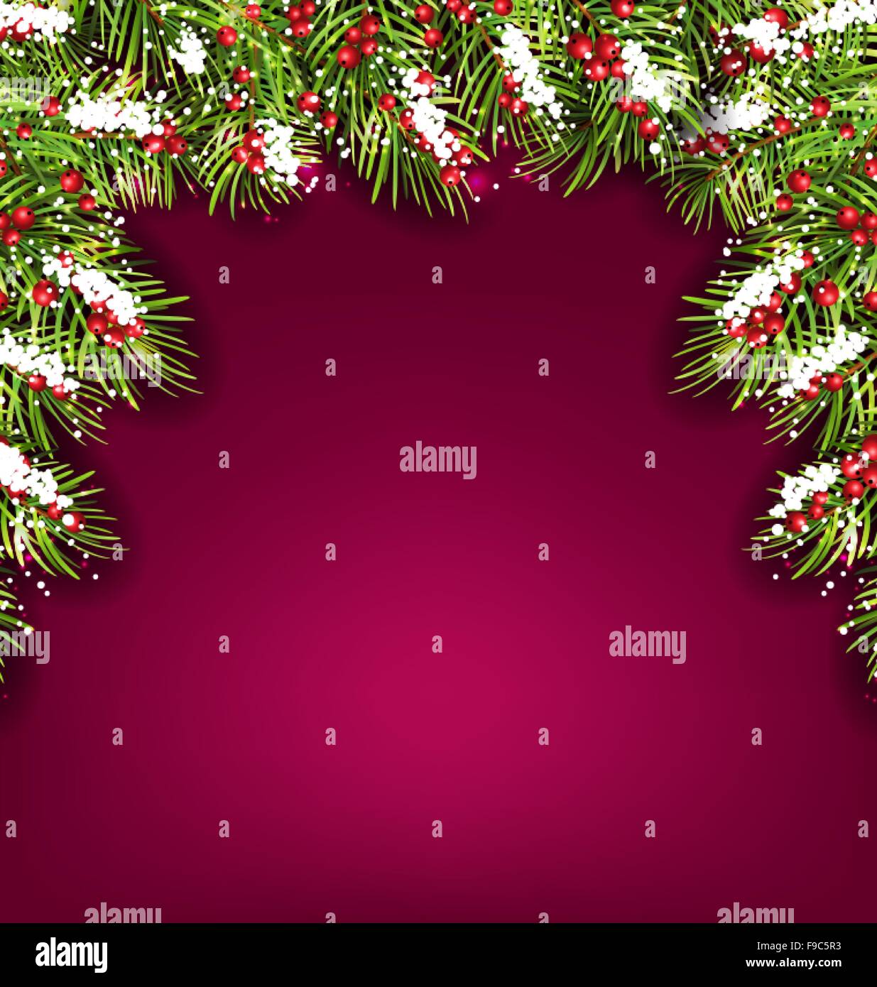 Holiday Background with Fir Branches and Berries Stock Vector Image ...