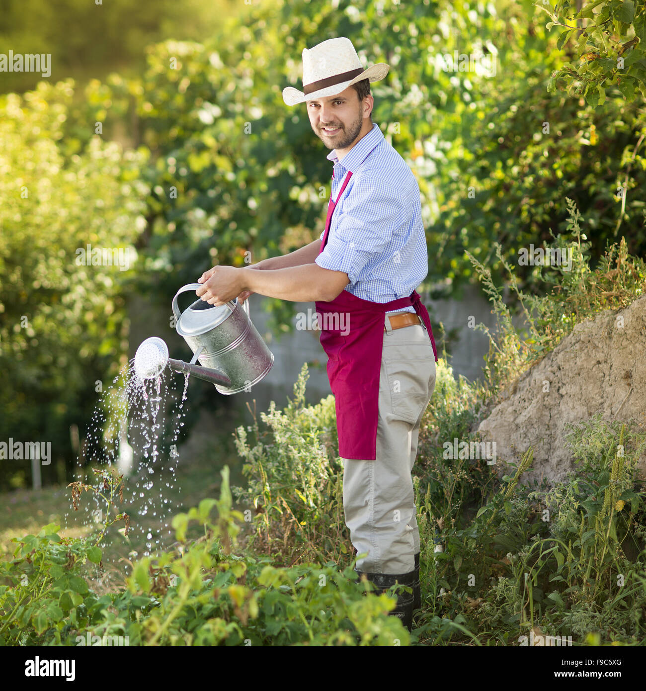 Young male gardener is watering plants in garden Stock Photo