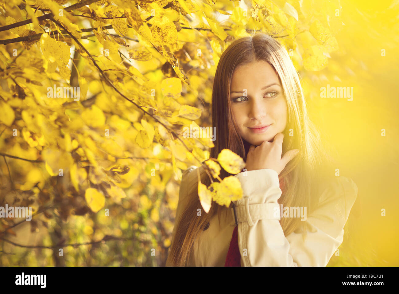 Portrait of beautiful girl in autumn park with yellow leaves Stock ...