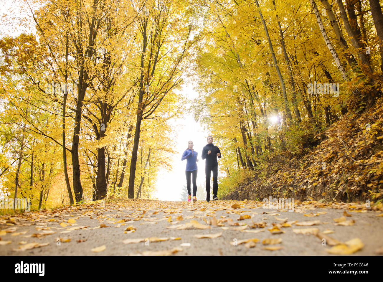 Young running couple jogging in autumn nature Stock Photo - Alamy
