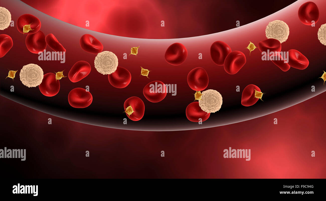 Blood vessel with platelets, white blood cells and red blood cells. Stock Photo